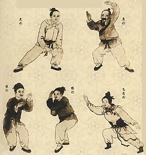 许你一生璀璨短剧全集在线观看  许你一生璀璨短剧全集在线观看，璀璨人生短剧全集在线观看--第1张