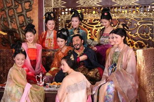 我在古代当驸马短剧全集在线观看  我在古代当驸马短剧全集在线观看，穿越时空当驸马爷--第1张