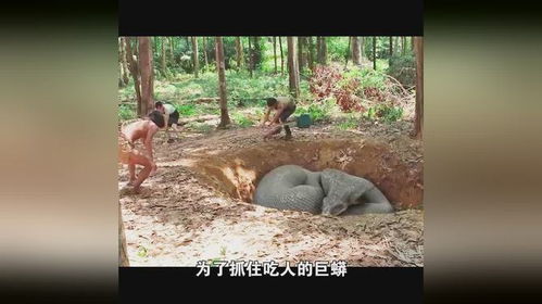 雄霸天下短剧全集在线观看  雄霸天下短剧全集在线观看--第1张