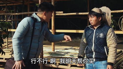 古玩圣手短剧全集在线观看  古玩圣手短剧全集在线观看--第1张