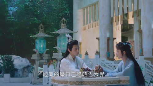 南总夫人罪不至死短剧全集在线观看  南总夫人罪不至死短剧全集在线观看，南总夫人罪不至死在线观看，罪与罚的故事--第1张