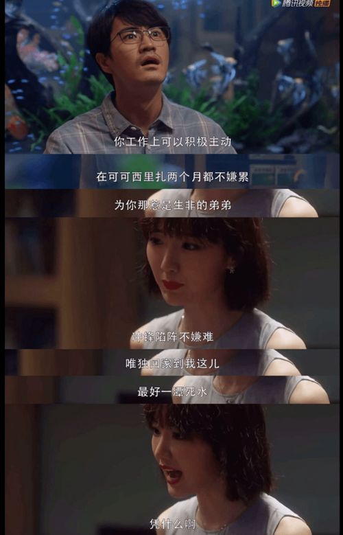 重生后我和老公联手虐渣男短剧全集在线观看  重生后我和老公联手虐渣男短剧全集在线观看--第1张
