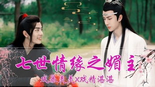 玲珑战婿短剧全集在线观看  玲珑战婿短剧全集在线观看，玲珑战婿短剧在线观看--第1张