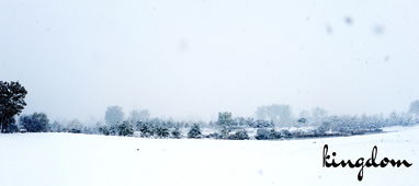 春雪落无声短剧全集在线观看  春雪落无声短剧全集在线观看--第1张