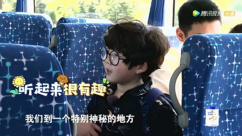 萌娃逆袭神助攻短剧全集在线观看  萌娃逆袭神助攻短剧全集在线观看--第1张
