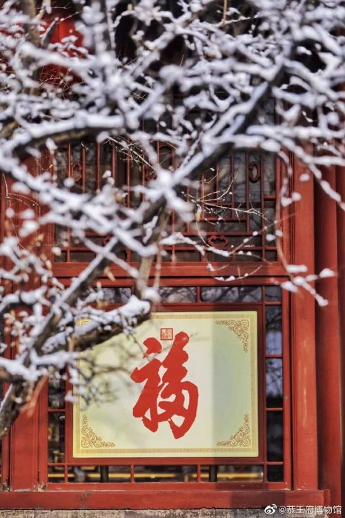 宫墙雪短剧全集在线观看  宫墙雪短剧全集在线观看，宫墙雪短剧全集在线，揭秘宫廷爱情故事--第1张