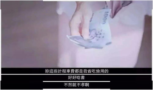 女儿跳楼后我重回年短剧全集在线观看  女儿跳楼后我重回年短剧全集在线观看，女儿跳楼后，我重回年少时光--第1张