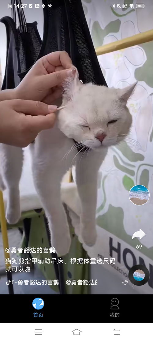 免费工具短剧全集在线观看  免费工具短剧全集在线观看，免费短剧大全在线观看平台--第1张