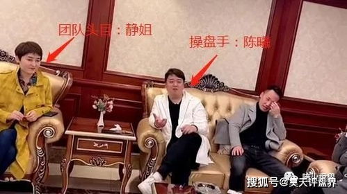 妈咪有人冒充你天才四宝团宠妈咪毛娜短剧全集在线观看  妈咪有人冒充你天才四宝团宠妈咪毛娜短剧全集在线观看--第1张