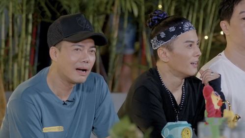 披荆斩棘的婚姻短剧全集在线观看  披荆斩棘的婚姻短剧全集在线观看，披荆斩棘的婚姻在线观看，一段充满挑战的婚姻故事--第1张