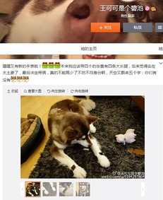 二狗的开挂人生短剧全集在线观看  二狗的开挂人生短剧全集在线观看，二狗的开挂人生，短剧全集在线观看--第1张