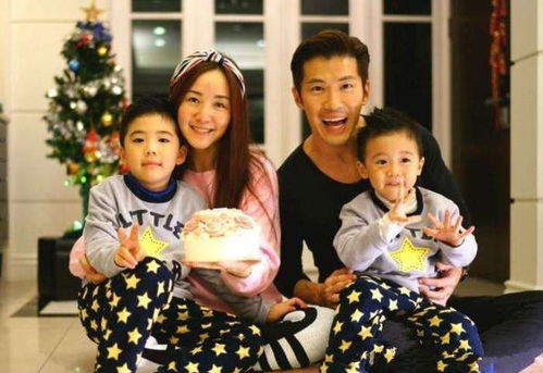 龙尊赘婿天帅大结局是什么_龙尊仙婿在线阅读--第1张