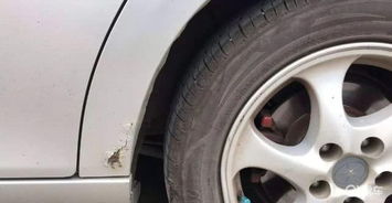 十年后唯一不生锈的国产车_国产不易生锈的车--第1张