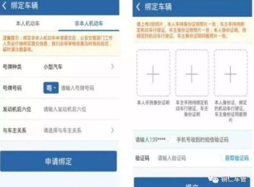 怎样查非本人车辆违章_怎样查非本人车辆违章信息--第1张