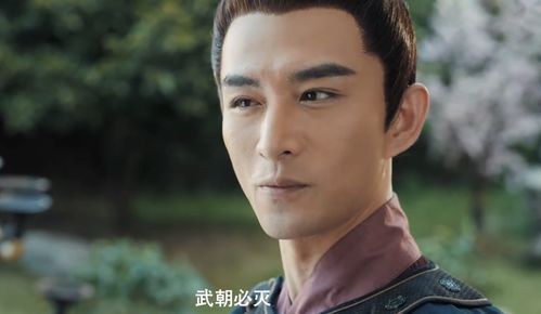 风云赘婿大结局介绍_风云龙婿百度百科--第1张