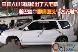 斯巴鲁森林人的通病_斯巴鲁森林人 毛病--第1张
