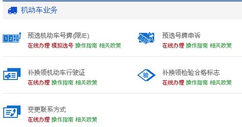 摇号买车_如何摇号买车--第1张