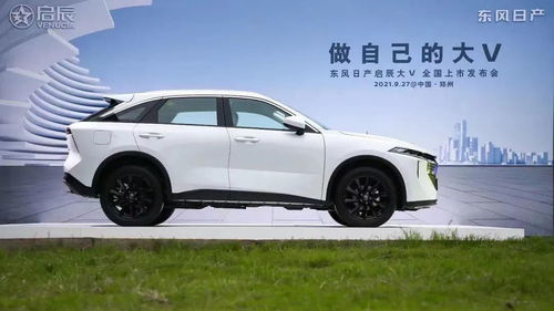 东风启辰大v2022最新款价格_东风启辰2020最新款--第1张