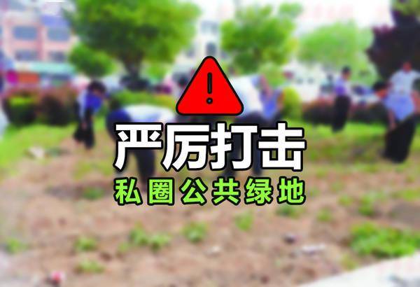 属于你的晴天短剧资讯  属于你的晴天短剧资讯，属于你的晴天，短剧资讯--第1张