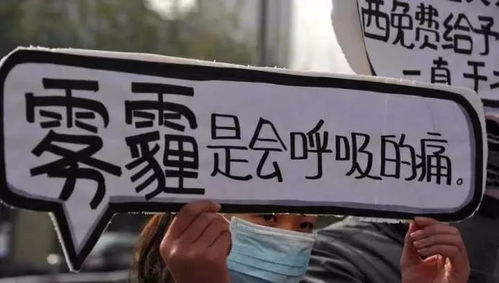 救了一万次的你短剧资讯  救了一万次的你短剧资讯，救了一万次的你短剧资讯，奇幻爱情短剧--第1张