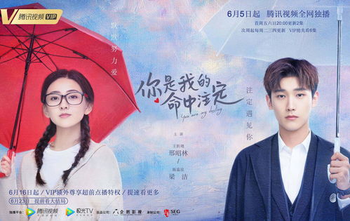 闪婚幸运草的命中注定短剧资讯  闪婚幸运草的命中注定短剧资讯，闪婚幸运草的命中注定资讯报道--第1张