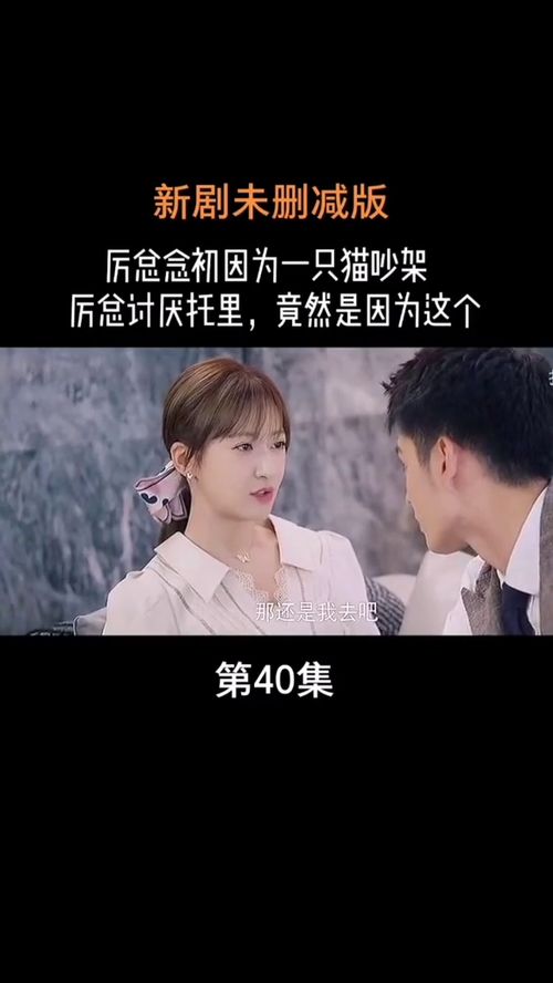 厉总你找错夫人了短剧资讯  厉总，你找错夫人了！短剧资讯--第1张
