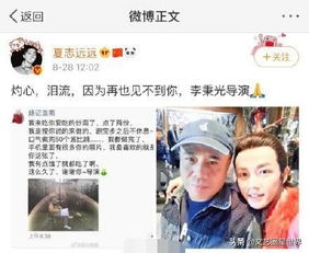 闪婚后任总突然傲娇了短剧资讯  闪婚后任总突然傲娇了短剧资讯，闪婚后任总突然傲娇了，短剧资讯--第1张