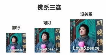报告督军夫人又逃跑了短剧资讯  报告督军夫人又逃跑啦！——短剧资讯，报告督军夫人又逃跑了，短剧资讯--第1张