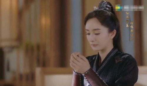 盛总夫人回来要诛心短剧资讯  盛总夫人回来要诛心——短剧资讯--第1张