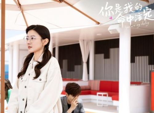 命中注定遇见你短剧资讯  命中注定遇见你短剧资讯，命中注定遇见你，浪漫爱情短剧--第1张