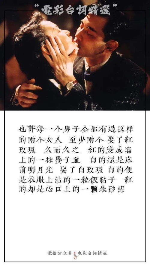 陆总忏悔吧夫人才是白月光长篇短剧资讯  陆总，忏悔吧！夫人才是白月光——长篇短剧资讯--第1张