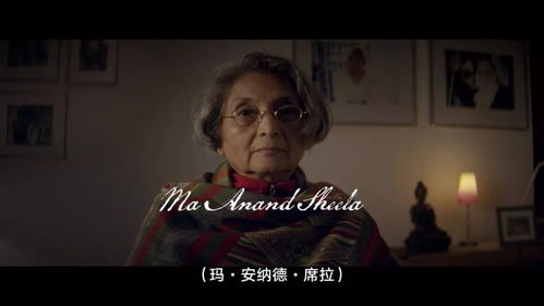 夫人流产后疯批总裁他慌了短剧资讯  夫人流产后疯批总裁他慌了，总裁慌了，夫人流产后，疯批总裁急了！--第1张