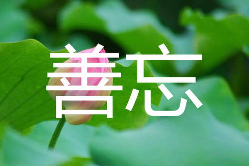 不负云意短剧资讯  不负云意短剧资讯，不负云意短剧资讯，短剧新潮流，轻松娱乐新选择--第1张