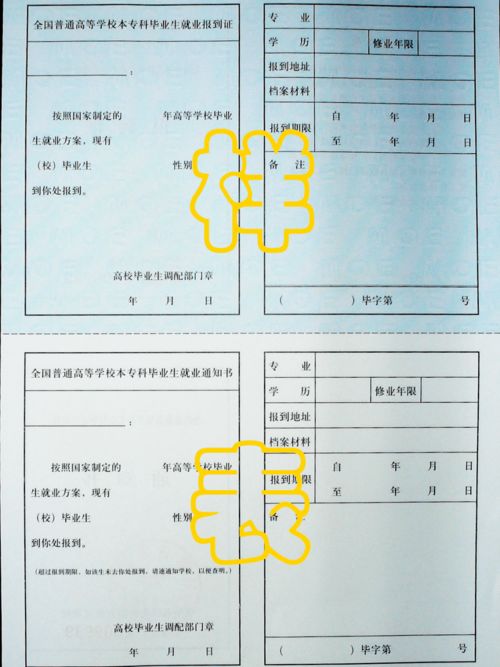 我的民国娇妻短剧资讯  我的民国娇妻短剧资讯--第1张