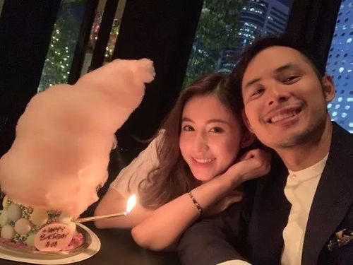 被赶出家门后我继承了亿万家产短剧资讯  被赶出家门后我继承了亿万家产——短剧资讯，被赶出家门后我继承了亿万家产——短剧故事--第1张