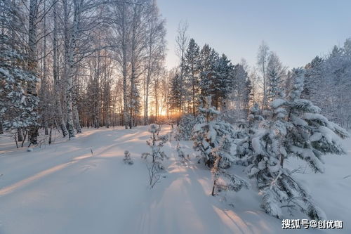 她比星星闪耀短剧资讯  她比星星闪耀——一部关于爱情与成长的短剧资讯，她比星星闪耀，一部关于爱情与成长的短剧资讯--第1张