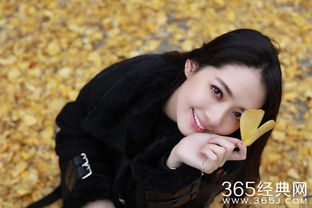 枭爷叶小姐又来求婚了短剧资讯  枭爷叶小姐又来求婚了短剧资讯--第1张