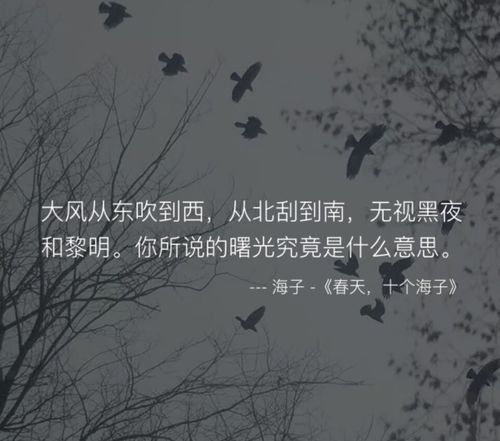 你是人间烟火短剧资讯  你是人间烟火短剧资讯--第1张