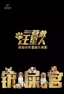 龙组短剧资讯  龙组短剧资讯，精彩短剧，不容错过！，龙组短剧资讯，短剧新潮流，精彩不容错过！--第1张