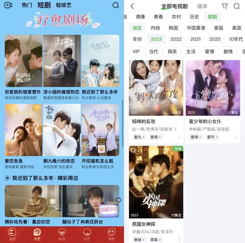 代号黑龙短剧资讯  代号黑龙短剧资讯，代号黑龙短剧资讯，揭秘热门短剧背后的故事--第1张