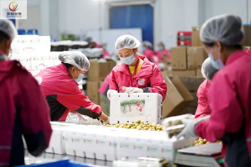 负债十亿捡漏成为大赢家短剧资讯  负债十亿捡漏成为大赢家，一部引人入胜的短剧资讯，负债十亿捡漏成为大赢家，短剧资讯的财富传奇--第1张