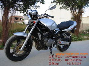铃木摩托车250_铃木摩托车250最新款--第1张