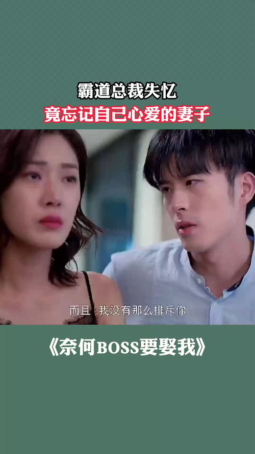 萌宝助攻失忆总裁的甜蜜追妻短剧在线资讯  萌宝助攻失忆总裁的甜蜜追妻短剧在线资讯，萌宝助攻失忆总裁的甜蜜追妻，短剧在线资讯--第1张