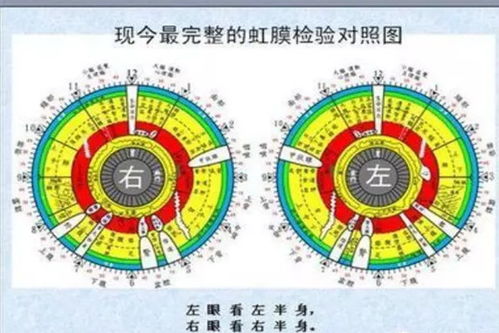 离婚后三个绝美姐姐找上门短剧在线资讯  离婚后三个绝美姐姐找上门短剧在线资讯--第1张