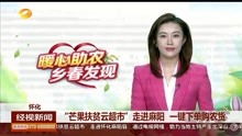 云中的秘密短剧在线资讯  云中的秘密短剧在线资讯，云端短剧的奇幻之旅--第1张