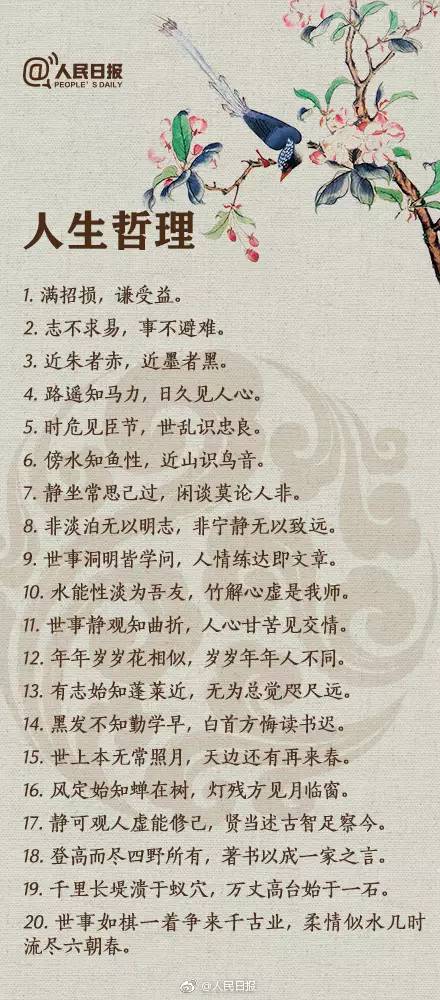 慕总别作了夫人怀的才是您的孩子短剧在线资讯  慕总别作了！夫人怀的才是您的孩子，慕总别作了！夫人怀的才是您的孩子短剧预告片--第1张