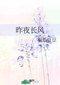昨夜思念如风短剧在线资讯  昨夜思念如风短剧在线资讯，昨夜思念如风短剧，一幕幕情感交织的时光之旅--第1张