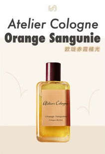 极乐香水短剧在线资讯  极乐香水短剧在线资讯，极乐香水短剧，一则神秘的香水传说--第1张