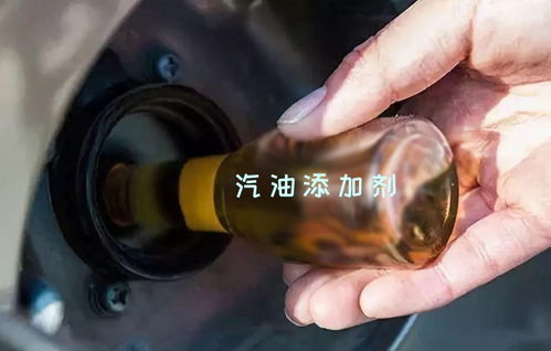 奈何少将要娶我短剧在线资讯  奈何少将要娶我短剧在线资讯，奈何少将要娶我，短剧在线资讯--第1张