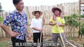 向秘书为何那样短剧在线资讯  向秘书为何那样——短剧在线资讯，向秘书为何那样——短剧在线资讯，揭秘秘书背后的故事--第1张
